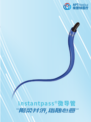 Instantpass 微导管